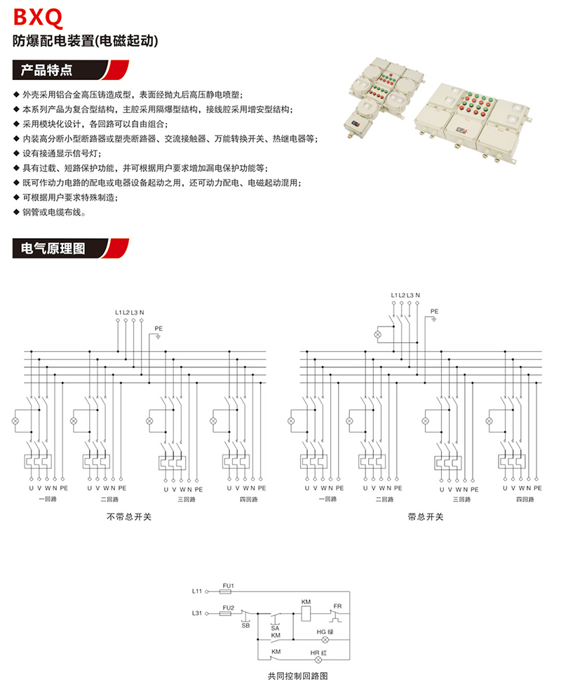 BX口防爆配电装置（IIB,IIC,tD）