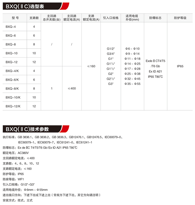 BX口防爆配电装置（IIB,IIC,tD）